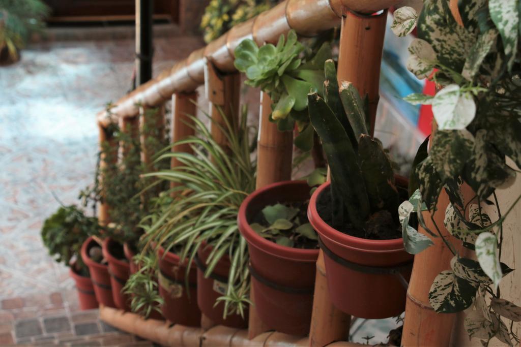 Hostel Sendero De Volcanes Латакунга Экстерьер фото